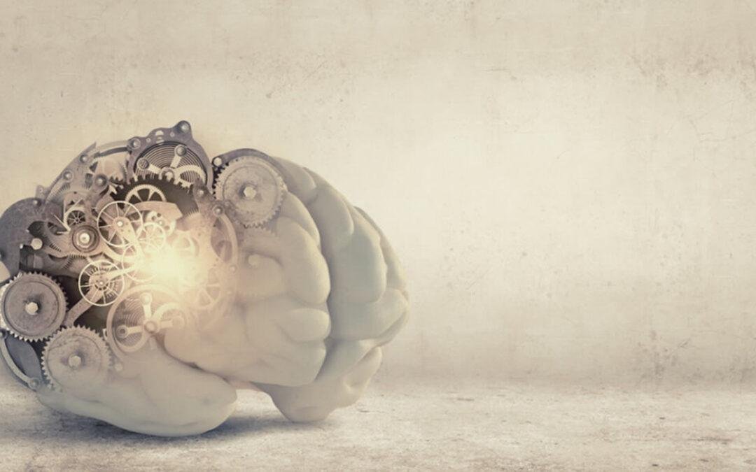 Inteligencia fluida y cristalizada: la diferencia e importancia