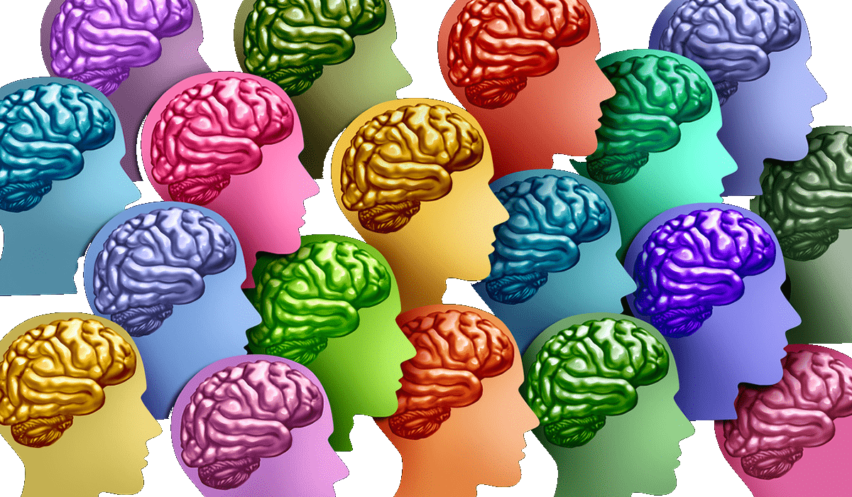 Neurodivergencia perfiles evaluaciones