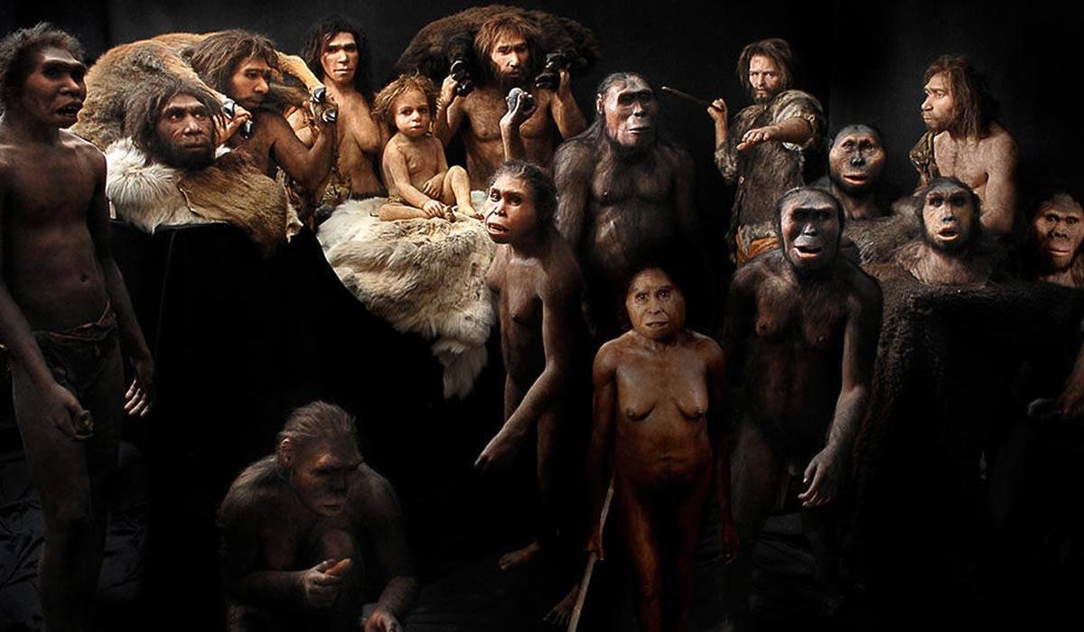 Evolución de las neurodivergencias desde la prehistoria Evolución de las neurodivergencias desde la prehistoria
