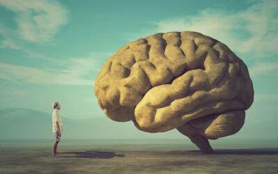 BDNF: El fertilizante del cerebro y cómo potenciarlo